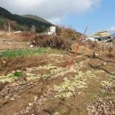 원통초 신덕분교장 이미지