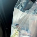 광일 | 루시 광일 생일카페 다녀온 후기 💙🎂 상수 마이러브플라워, 합정 다밍