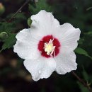 월산농장 이미지