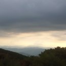 홍아저씨 이미지