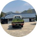 소로1리 마을회관 이미지