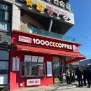 천씨씨커피 | [경기 화성] 천씨씨커피 화성장안점 후기 화성 장안면 분위기좋은까페