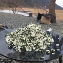 자연펜션캠핑장 이미지