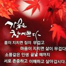 천년의 고찰 합천 "해인사 단풍"[2023년 11월 6일(음: 9월 23일)일출 7시 00분.일몰17시30분] 이미지