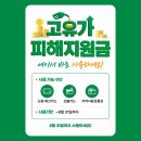 경희마루한약국