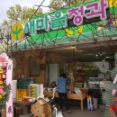 새마을청과