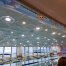 네오키즈스윔 이미지