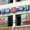 SD복싱 이미지