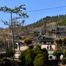 부자집 - 서산시 | 부자집