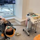 365아홉가지약속치과병원 | 충남"천안아산" 어린이 치과 충치 치료 무통증 대박 추천 [내돈내산] +성인 포함