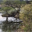 이방초등학교 이미지