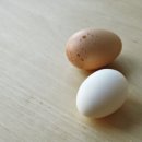 한국진열대시스템