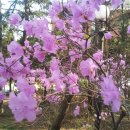 성안드레아 병원 이미지
