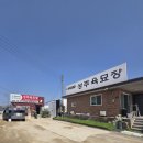 하빈농장 | 텃밭 준비 성주육묘장 참외 모종 &amp; 대동농자재백화점 자재 구입기 참외 농사 시작