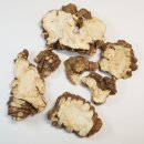 경희한방약국 이미지