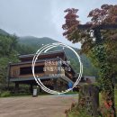 강원도 삼척 여행 삼척활기치유의숲 족욕체험 삼척해변