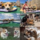 패밀리농장 이미지