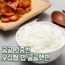소중한 개 | 집에서 간편하게 즐기는 곰곰 소중한 우리쌀 밥 후기