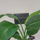 화이팅공인중개사사무소 이미지