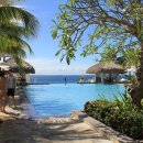 스킨바나나 이미지