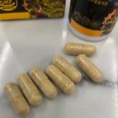 주식회사 그린이지 | 건기남이 보증하는 브라질 그린프로폴리스, 프로폴리스 영양제 추천