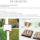 고은덴탈 이미지