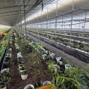 우적농장 이미지