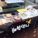 해선언니네