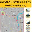 신암면006 Daum카페