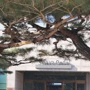 소노벨 타워 C 비발디파크 이미지