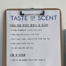 테이스트오브센트