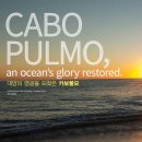 해외 다이빙 지역 소개 - 대양의 영광을 되찾은 카보풀모 CABO PULMO 이미지