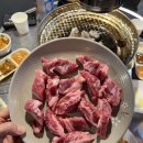 보아해물막창