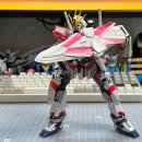 내러티브 | [조립후기] MG 1/100 내러티브 건담 C 장비 Ver.Ka (C팩)