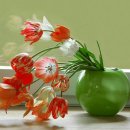 21세기 행정사 이미지