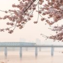 대구지방기상청(국립대구기상과학관) 이미지