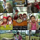 참빛목장 이미지