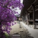 동춘당공원 이미지