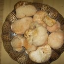 산이주는선물