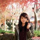 내일로여행 하동 :: 화개장터, 쌍계사, 최참판댁 / 내일로 무료숙박 / 겨울 내일로