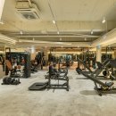 포스 피트니스 이미지