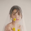 스튜디오피 이미지