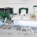 용인대 탑 태권도장 | 원주 기업도시 아이데코안경