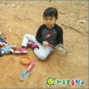 강남유치원 이미지