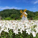 백두소프트 이미지