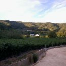 새터농로 이미지