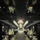 웨스턴베니비스 이미지