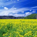 봉천한의원 이미지