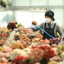 무주카센타 이미지