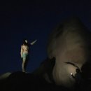 동창발전소1호 | 미국서부여행, 조슈아트리 국립공원 방문기 X 모아트립